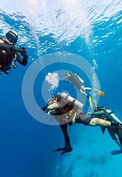Group of divers on 5-min safety stop