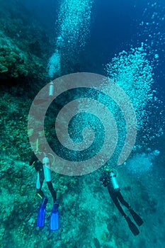 Group of divers going deep