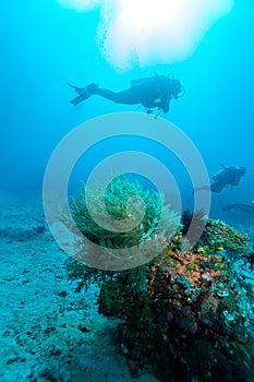 Group of divers going deep