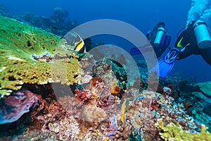 Group of divers going deep