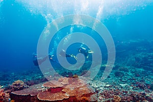 Group of divers going deep