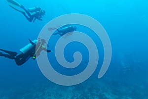Group of divers going deep