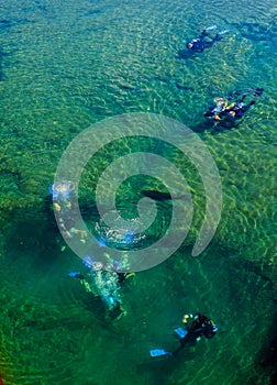Group of divers preparing for the dive
