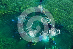 Group of divers preparing for the dive