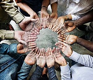 Group of diverse palms circled support together