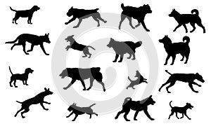 Group of dogs various breed. Black dog silhouette. Running, standing, walking, jumping dogs. Isolated on a white