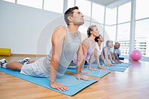 Group doing cobra pose in row at yoga class