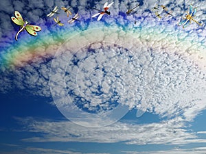 Group of dragon flays flying isolated in color background