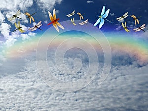 Group of dragon flays flying isolated in color background