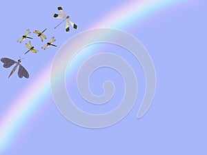Group of dragon flays flying isolated in color background