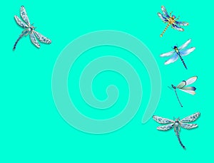 Group of dragon flays flying isolated in color background