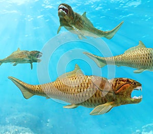 Group of Dunkleosteus Circling photo