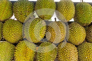 Group of durian fruits at local market. Asian fruit with intense aromas. Fresh durian fruit