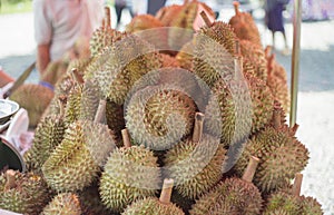 Group of durian at thai style market outdoor,king of fruite,traditional thai fruit