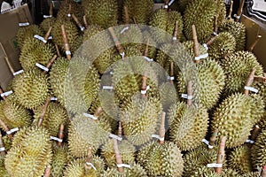 Group of Durian. tropical fruit.durian on the truck for sell