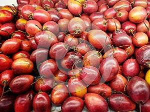 Group of Dutch eggplant