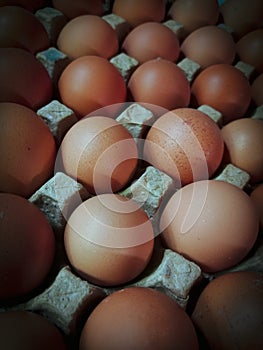 A group of egg on egg tray