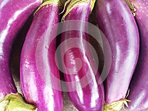 Group of Eggplant on Wooden Surface