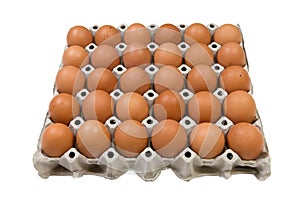 Group of eggs on cardboard container