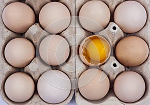 Group of eggs - one broken with yolk on the top.