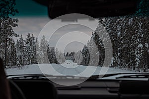 A group of elk or animals deer on the snowy icy road in Sweden in winter time. Dangerous situation in the evening, car stopping in