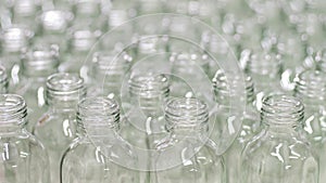 Group of Empty Glass Bottles