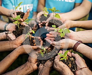 Group of environmental conservation people hands planting in aerial view