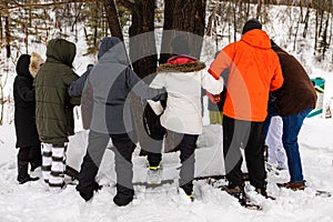 A group of environmentalists standing around the tree
