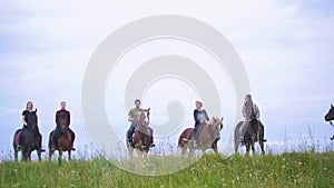 Group of equestrians on the horseback standing among the wide meadow