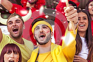 Group of fans dressed in various colors watching a sports event