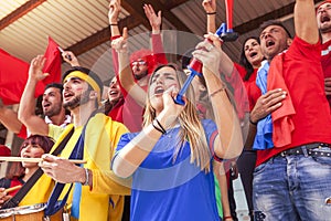 Group of fans dressed in various colors watching a sports event