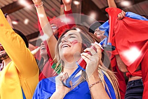 Group of fans dressed in various colors watching a sports event