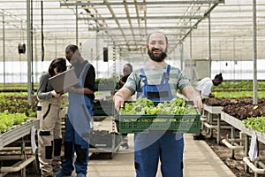 Group of farm workers in eco greenhouse