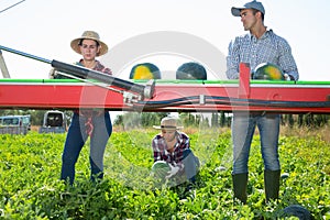 Group of farm workers picking watermelons, working on harvesting platform on field