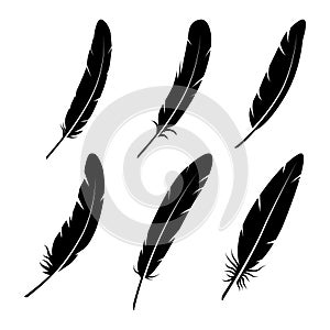 Group of feather on white background