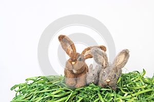 Group of Felted Wood Bunnies or Rabbits on White Background