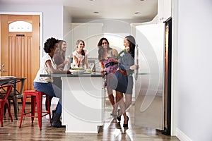 Group Of Female Friends Enjoying Pre Dinner Drinks At Home