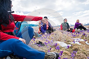 Group of female hikers in mountains during saffron blooming at spring