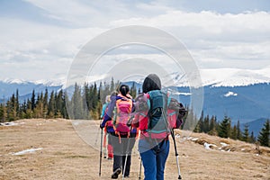 Group of female hikers in mountains during saffron blooming at spring