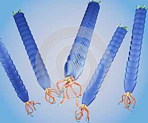 Group of filamentous M13 phage virus 3d rendering