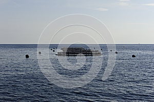 Line of fish farm nets