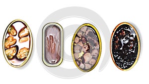 Group fish and seafood on white