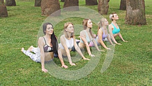 Group of fit women doing yoga pose meditation at outdoor green park garden