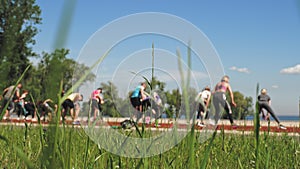 group fitness workout outdoors. fitness outdoors. group of people, wearing activewear, is exercising together, on sports