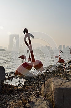 Group of flamings and city skyline. Suzhou  China