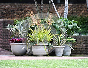 Group of Flower Arrangements