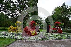 Group of flower ducks