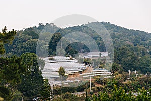 Group of flower greenhouses near foothills in Chiang Mai, Thailand