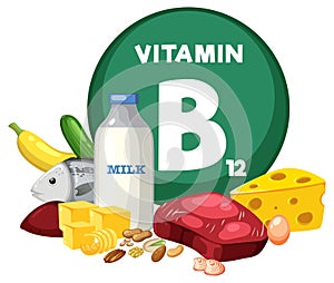 Group of Food: Fruit and Vegetable Containing Vitamin B12