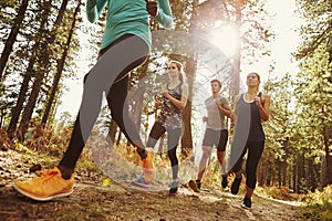 Group of four adults running in a forest, low angle close up